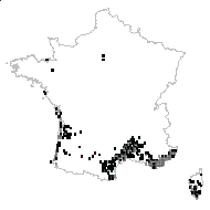 Arbutus vulgaris Bubani - carte des observations
