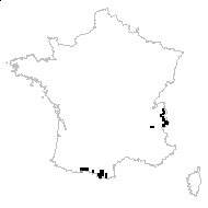 Chamaecistus serpyllifolius Gray - carte des observations