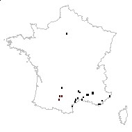 Chamaesyce prostrata (Aiton) Small - carte des observations