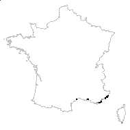 Vulneraria barba-jovis (L.) Link - carte des observations