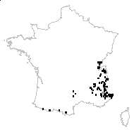 Anthyllis alpicola Brügger - carte des observations