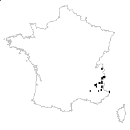 Colutea australis (L.) Lam. - carte des observations