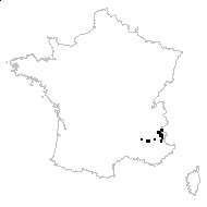 Astragalus austriacus Jacq. - carte des observations