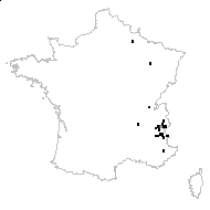 Astragalus mucronatus DC. - carte des observations