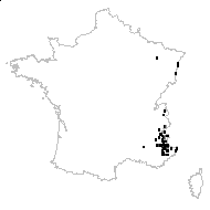 Astragalus onobrychis sensu Pollich - carte des observations