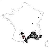 Dorychnium angustifolium Moench - carte des observations