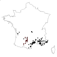 Ornithopodium scorpioides (L.) Scop. - carte des observations