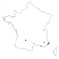 Coronilla orbiculata Moench - carte des observations