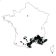 Dorycnium hispanicum Pau - carte des observations