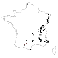 Scorpius spinosus Moench - carte des observations