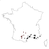 Lathyrus hierosolymitanus var. grandiflorus Boiss. - carte des observations