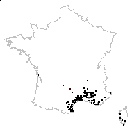 Pisum rubrum E.H.L.Krause - carte des observations