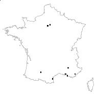 Lens vulgaris Delarbre - carte des observations