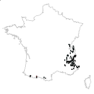 Adenostyles viridis Cass. - carte des observations