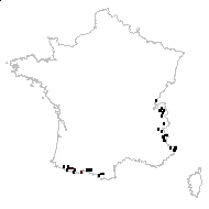 Anemone umbellata Dulac - carte des observations
