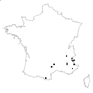 Turrita saxatilis (All.) Bubani - carte des observations