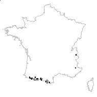 Carduus carlinoides Gouan - carte des observations