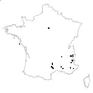 Carex alpina Suter - carte des observations