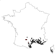 Centranthus clausonis Pomel - carte des observations