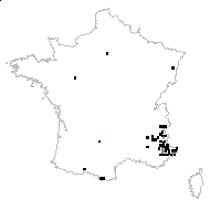 Echinops major St.-Lag. - carte des observations