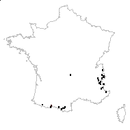 Juncus alpinoarticulatus Chaix - carte des observations