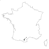 Trigonella hybrida Pourr. - carte des observations