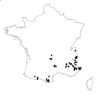 Pedicularis comosa L. - carte des observations