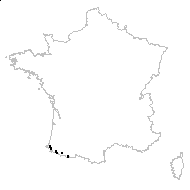 Lychnis pyrenaica J.P.Bergeret - carte des observations