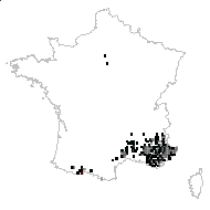 Satureja trifida Moench - carte des observations
