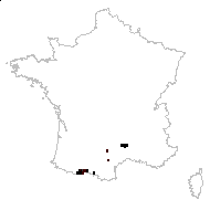 Saxifraga stellaris subsp. clusii Bonnier & Layens - carte des observations