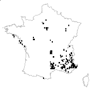 Silene parviflora Pers. - carte des observations