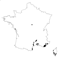 Trifolium nigrescens Viv. - carte des observations