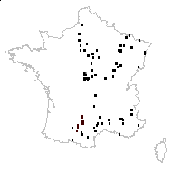 Bromus arvensis L. - carte des observations