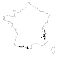 Carex plana Clairv. - carte des observations