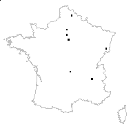 Crepis ramosissima d'Urv. - carte des observations