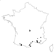 Paronychia davei (Sennen) Sennen - carte des observations