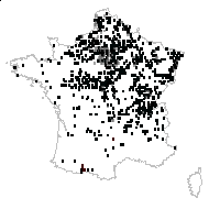 Ribes vulgare Lam. - carte des observations
