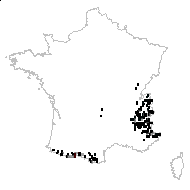 Saxifraga intacta Willd. - carte des observations