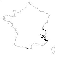 Petrosedum montanum (E.P.Perrier & Songeon) Grulich - carte des observations
