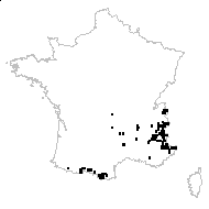 Sempervivum brachiatum Lamotte - carte des observations