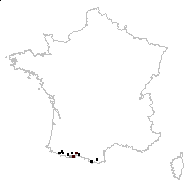 Erysimum ochroleucum proles pyrenaicum (Jord. ex Nyman) Rouy & Foucaud - carte des observations