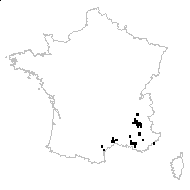 Sideritis orocharis Gand. - carte des observations