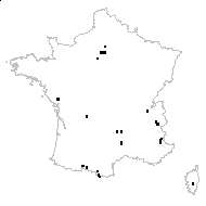 Phaseolus vulgaris L. - carte des observations