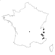 Trifolium caespitosum Sturm - carte des observations