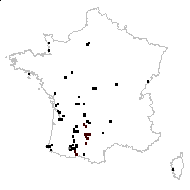 Trifolium patens Schreb. - carte des observations