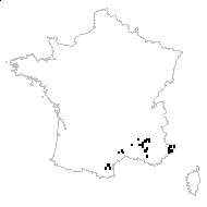 Ophrys virescens Philippe - carte des observations