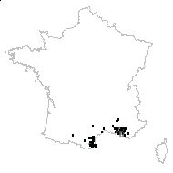 Ulex provincialis Loisel. - carte des observations
