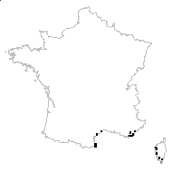 Vicia aquitanica Clavaud - carte des observations