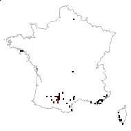 Vicia angulosa Gaterau - carte des observations