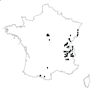 Vicia dumicola Dulac - carte des observations